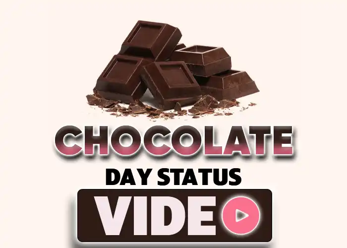 Chocolate Day Status Video