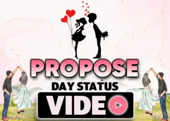 Propose Day Status Video