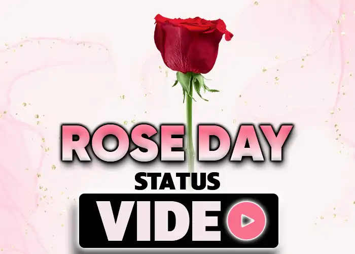 Rose Day Status Video
