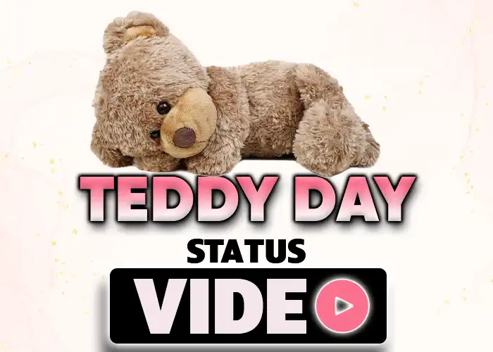 Teddy Day Status Video